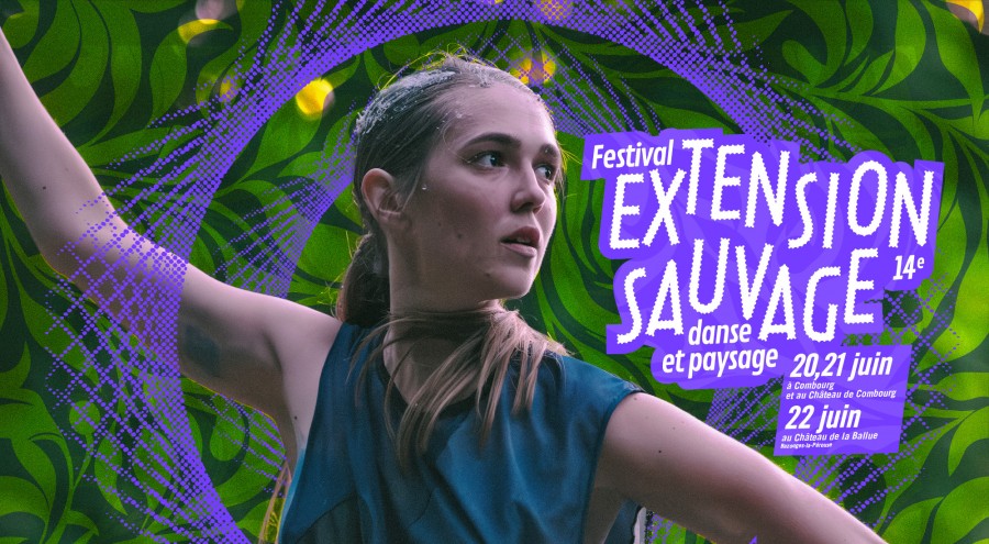  / Extension Sauvage - 